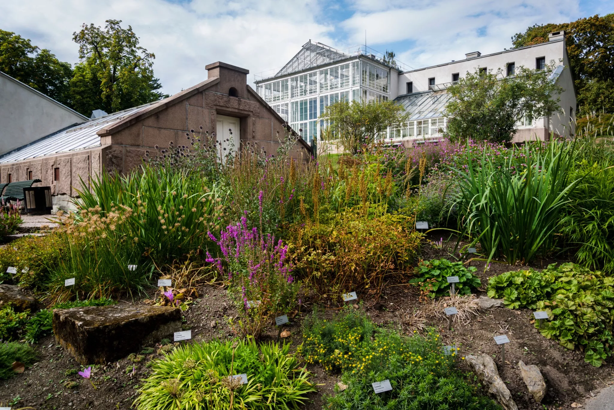 Botanical Garden in Norway, Europe | Botanical Gardens - Rated 4.1