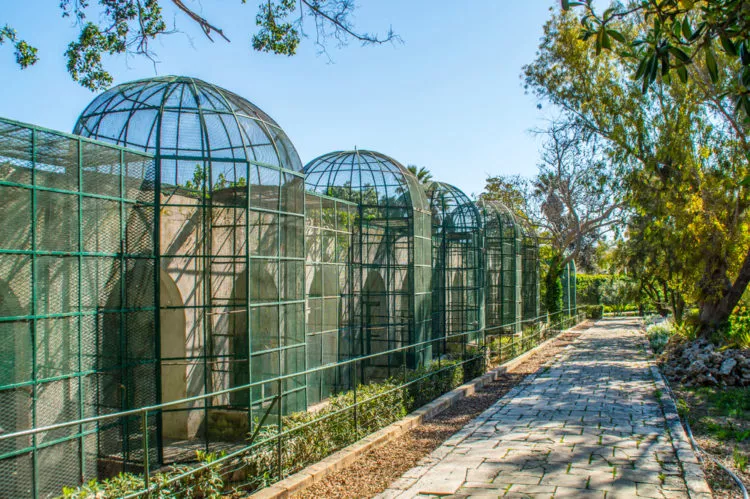 Botanical Garden of St. Anthony in Malta, Europe | Botanical Gardens - Rated 3.9