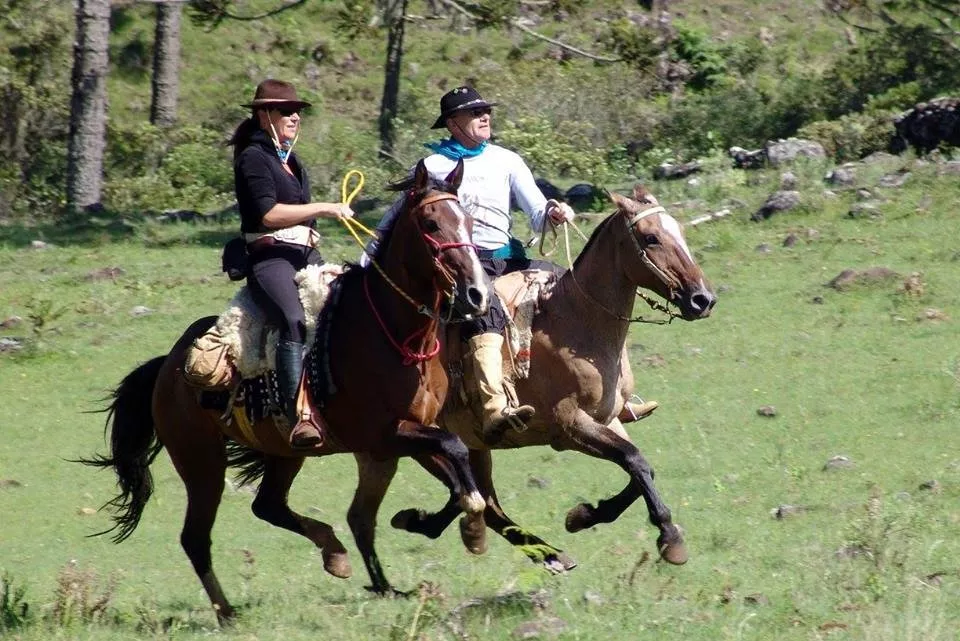 Pitayas Agroturismo Orgânico in Brazil, South America | Horseback Riding - Rated 0.9