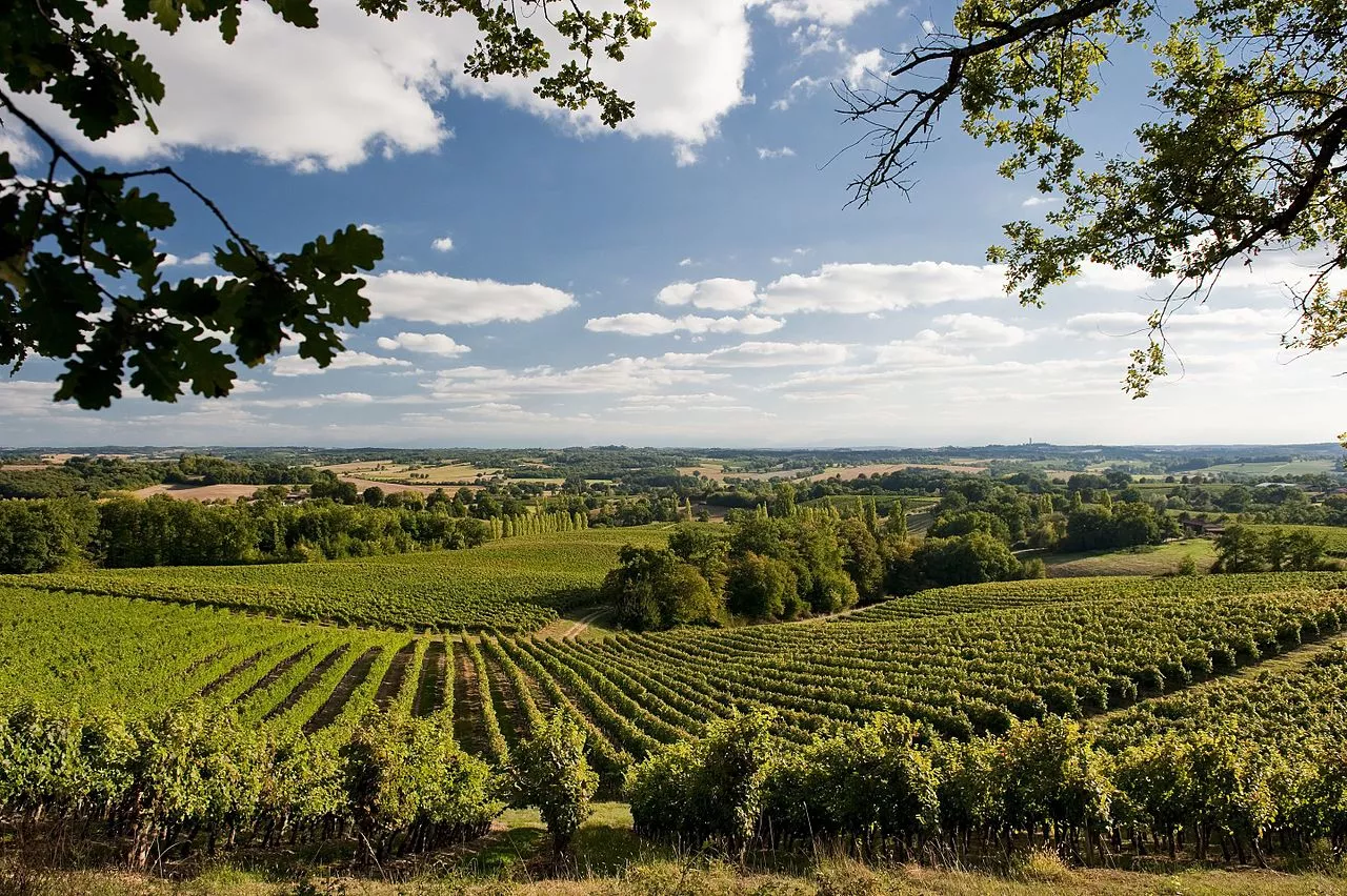Bredif Marc in France, Europe | Wineries - Rated 0.9