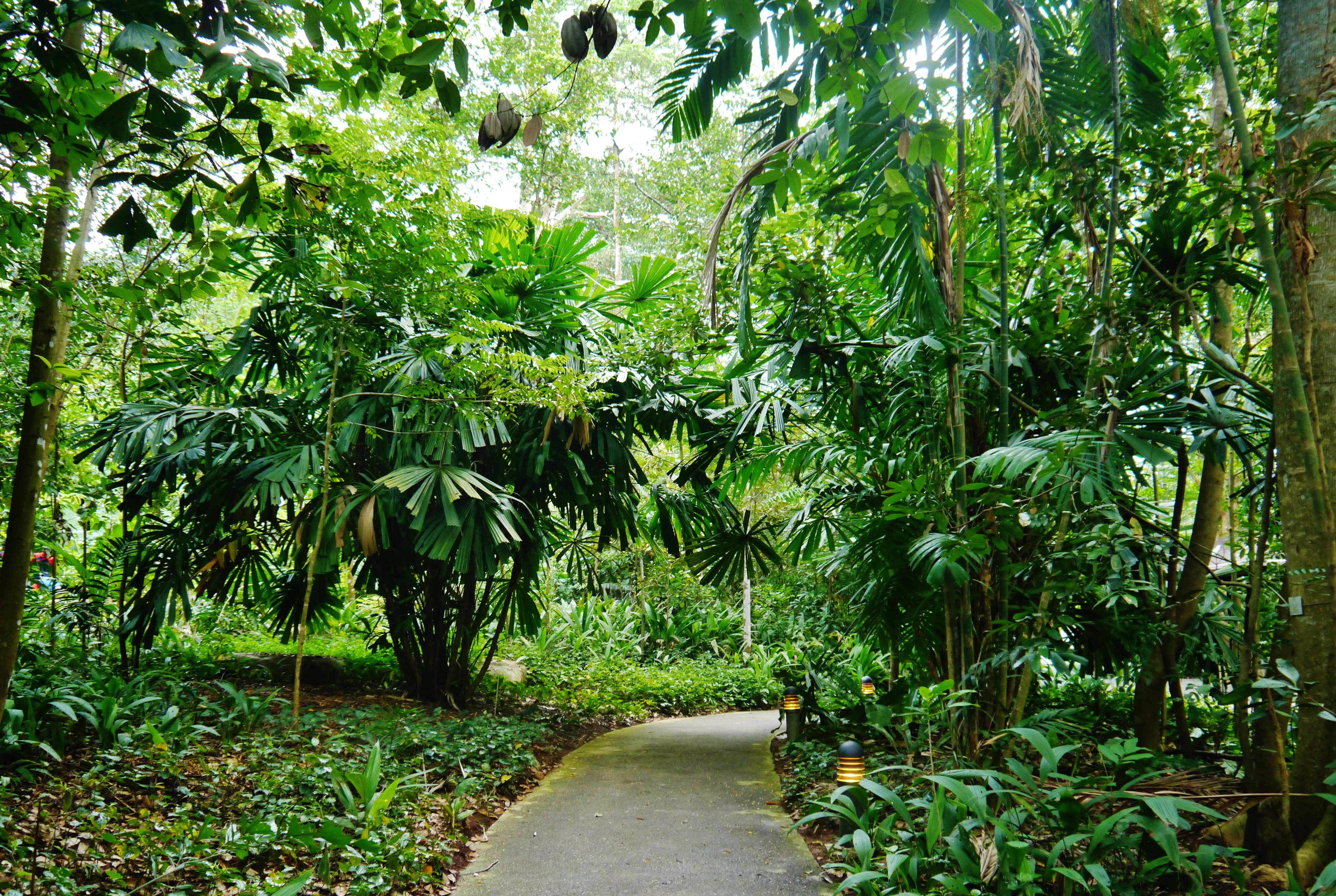 Bukit-Timakh in Singapore, Central Asia | Nature Reserves - Rated 4