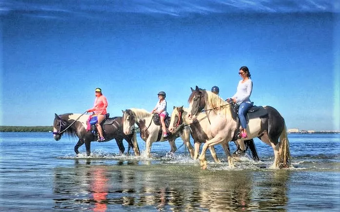 CPonies Beach Horseback Rides in USA, North America | Horseback Riding - Rated 5