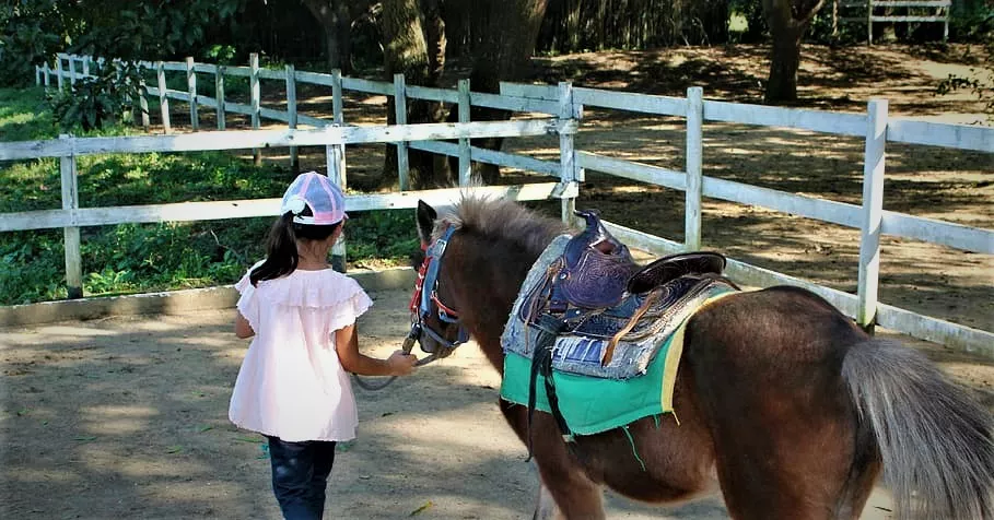 Cabalgatas Rancho Viejo in Argentina, South America | Horseback Riding - Rated 4.2