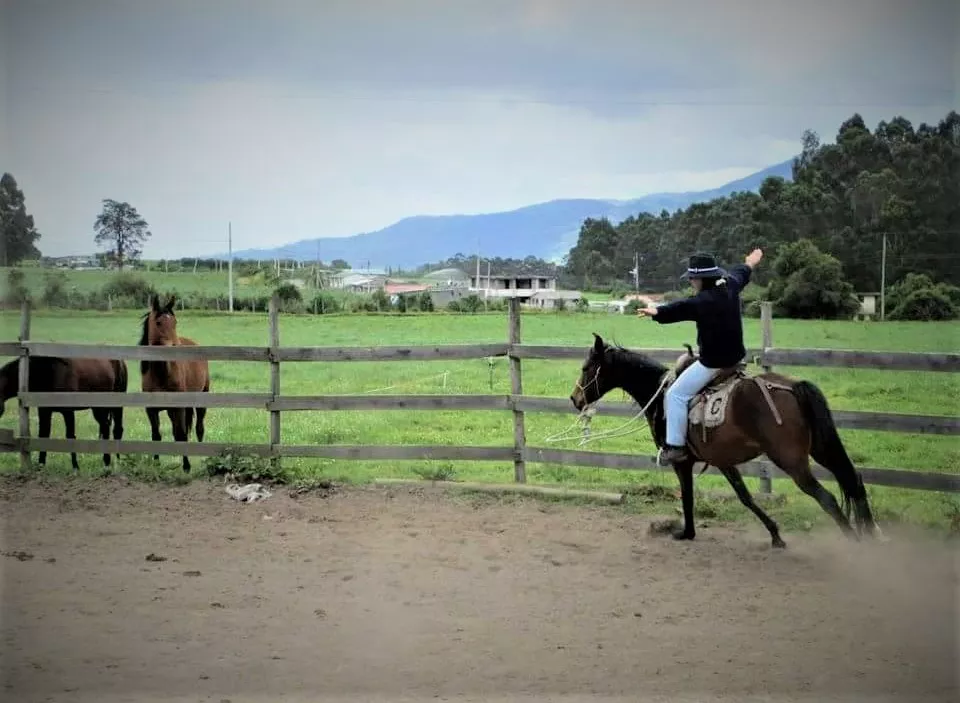 Caballo Tambo in Ecuador, South America | Horseback Riding - Rated 1