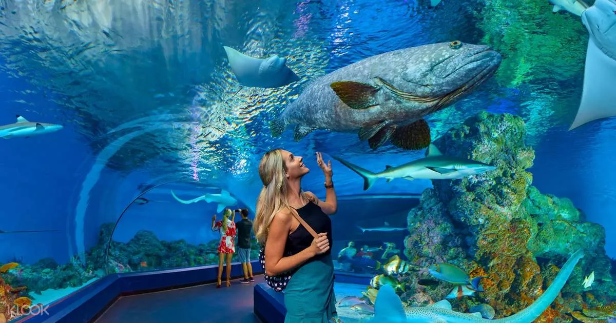 Cairns Aquarium in Australia, Australia and Oceania | Aquariums & Oceanariums - Rated 3.9