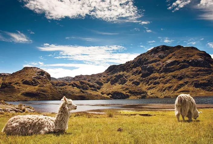 Cajas National Park in Ecuador, South America | Parks,Trekking & Hiking - Rated 4