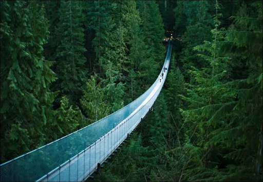 Capillano Suspension Bridge in Canada, North America | Observation Decks - Rated 4.1