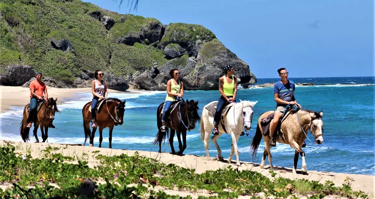 Tropical Trail Rides in Puerto Rico, Caribbean | Horseback Riding - Rated 9.7