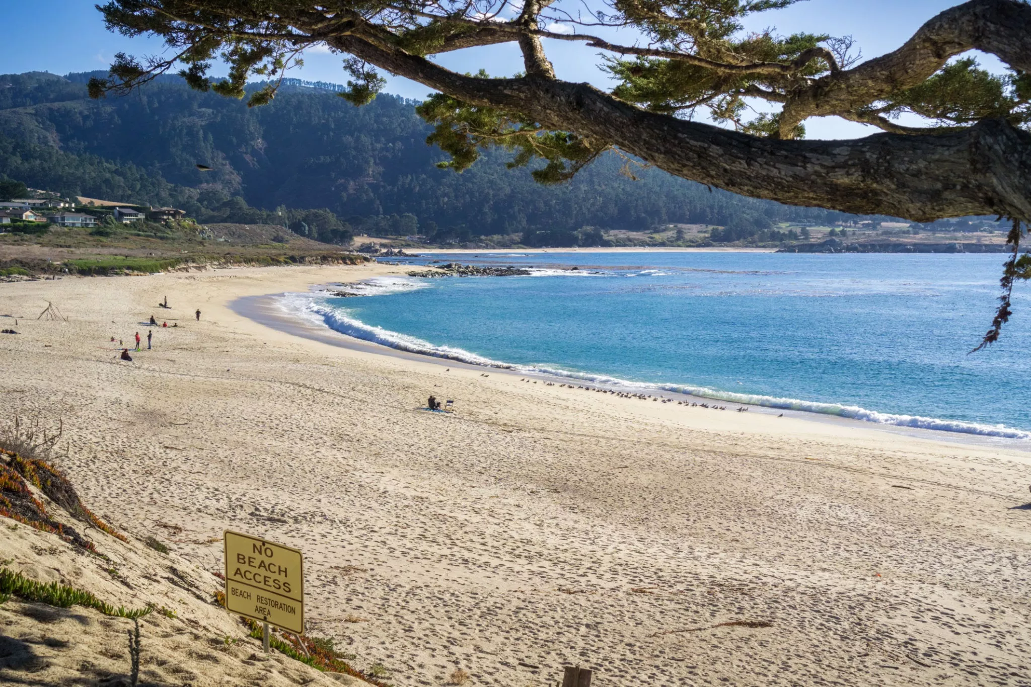 Carmel River State Beach in USA, North America | Beaches - Rated 3.9