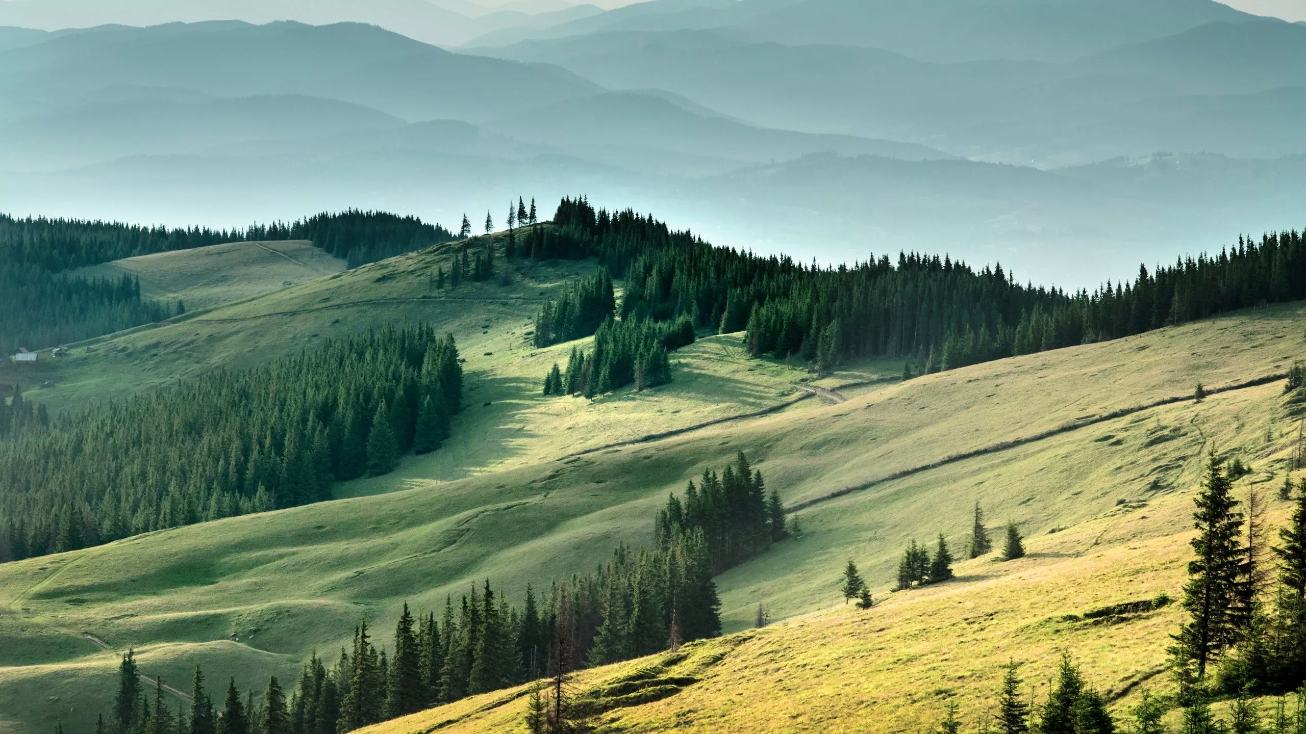 Carpathian Mountains in Ukraine, Europe | Mountains,Trekking & Hiking - Rated 5.9