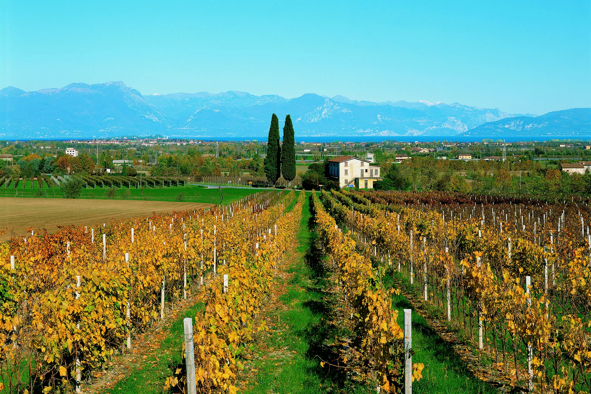 Cascina Maddalena in Italy, Europe | Wineries - Rated 0.9