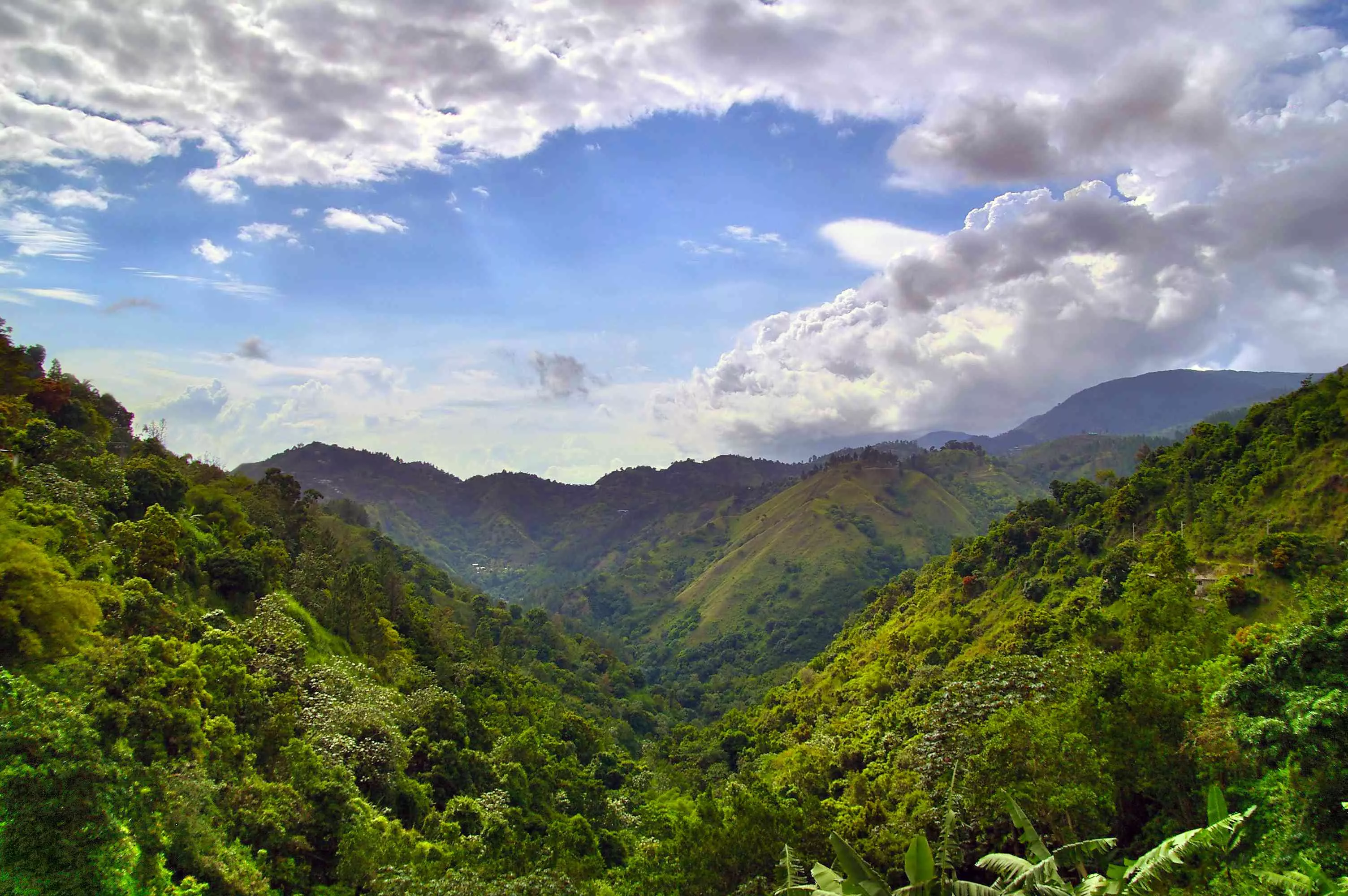 Catherine's Peak Trail in Jamaica, Caribbean | Trekking & Hiking - Rated 0.8