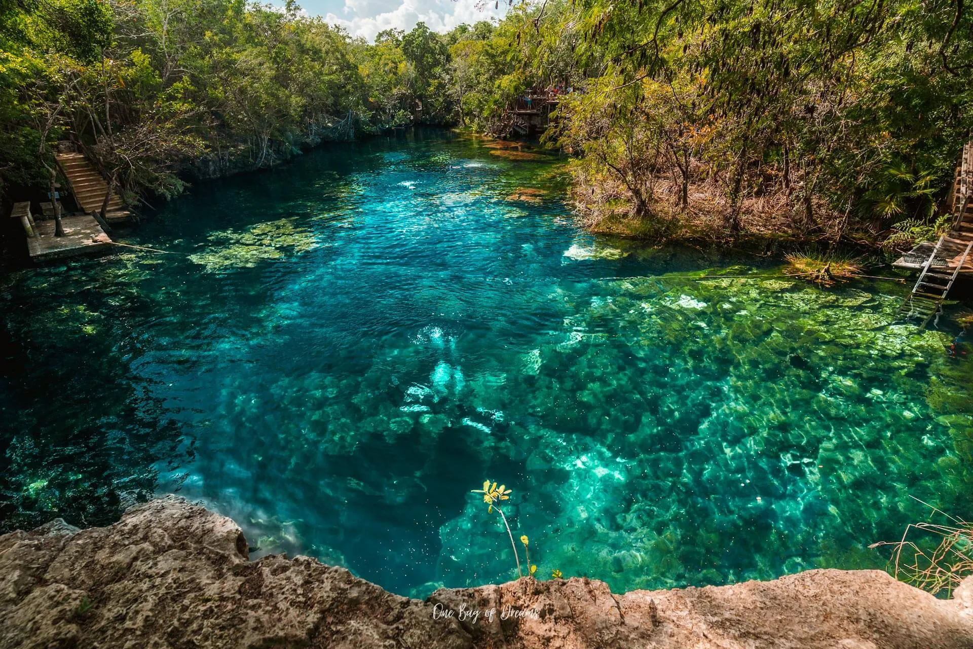 Cenote Jardin del Eden in Mexico, North America | Caves & Underground Places - Rated 3.6