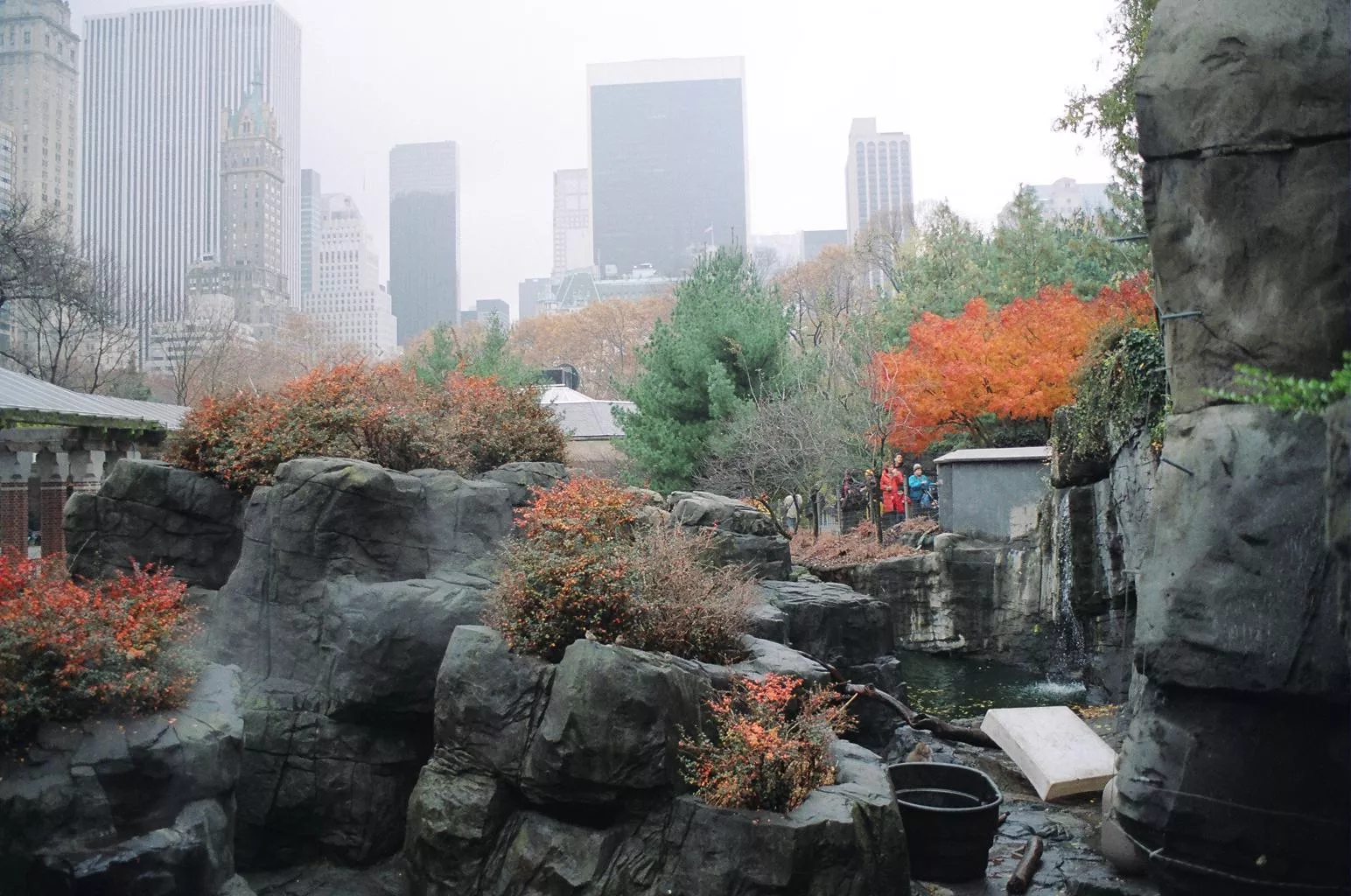 Central Park Zoo in USA, North America | Zoos & Sanctuaries - Rated 5.1