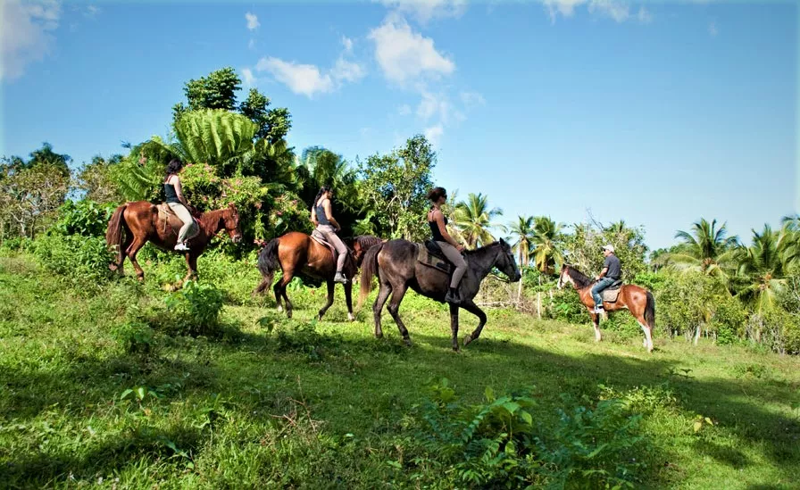 Centro Ecuestre Bellavista in Ecuador, South America | Horseback Riding - Rated 0.9