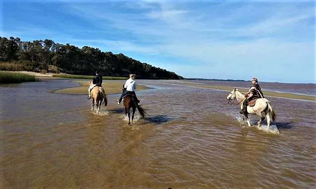 Centro ecuestre y Cabalgatas Macondo in Uruguay, South America | Horseback Riding - Rated 1.1