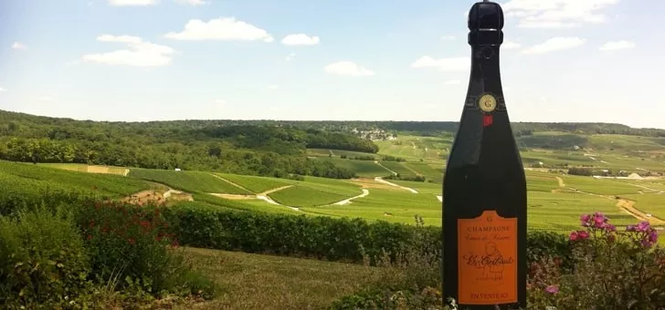 Champagne G.Tribaut in France, Europe | Wineries - Rated 0.9
