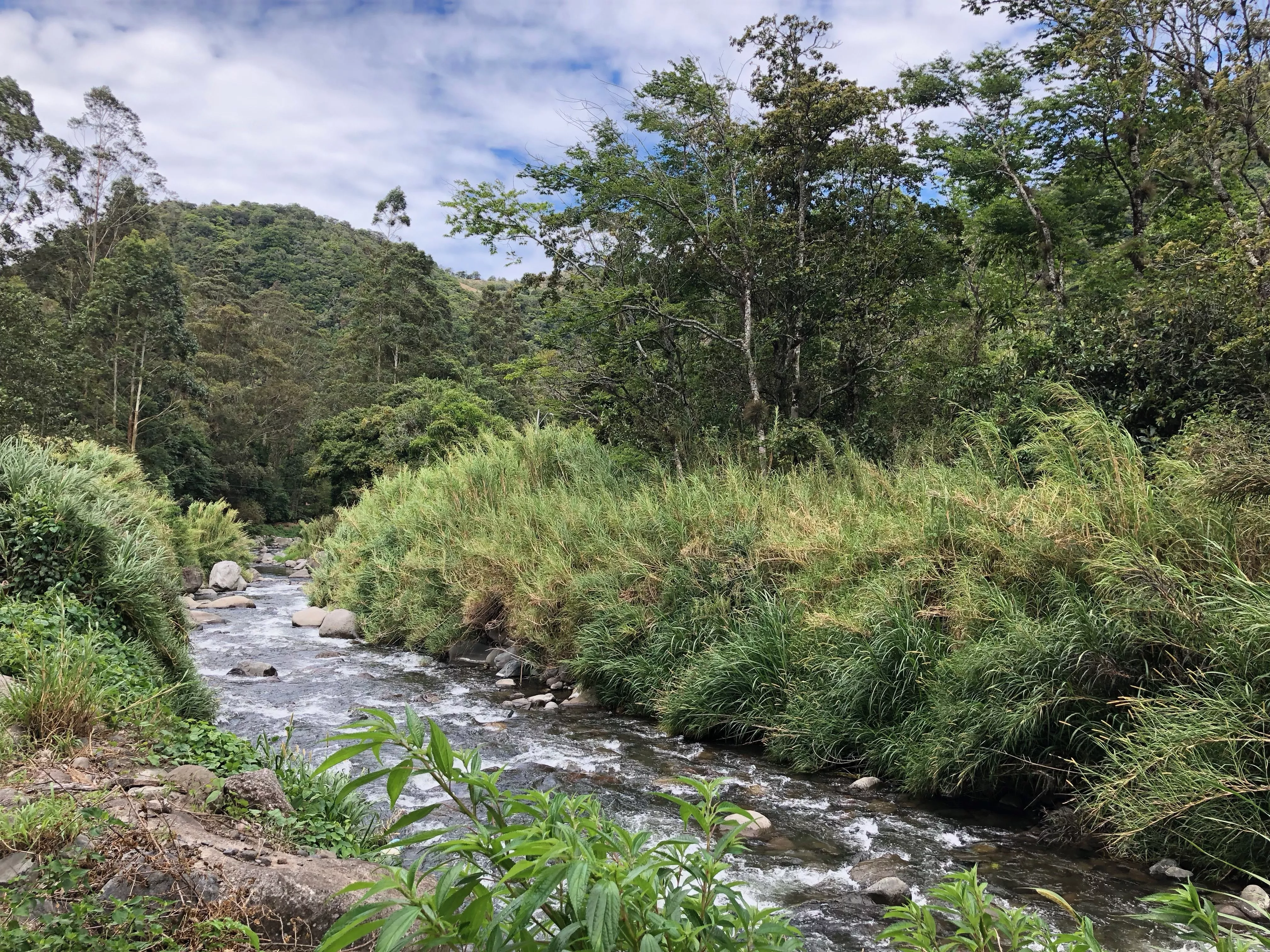 Chiriqui National Park in Panama, North America | Trekking & Hiking - Rated 0.7