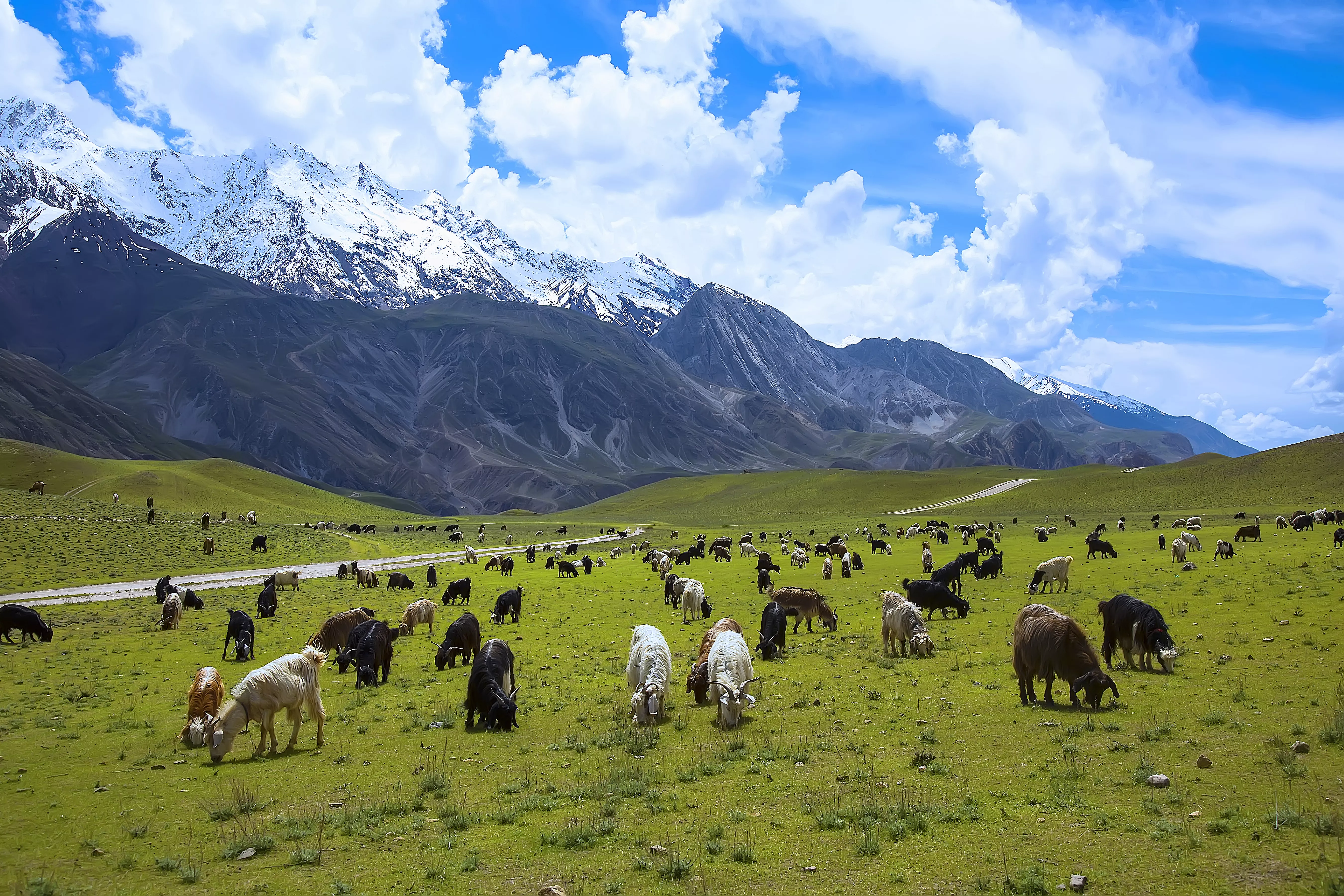 Chitral Gol National Park in Pakistan, South Asia | Parks,Trekking & Hiking - Rated 3.7