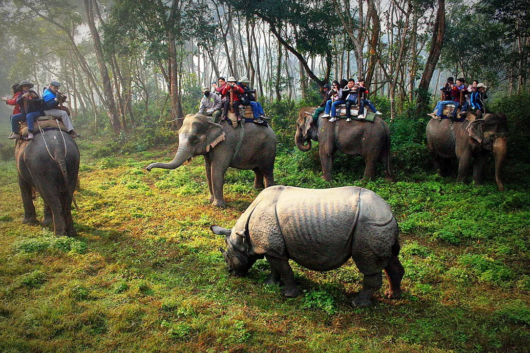 Chitwan in Nepal, Central Asia | Parks - Rated 3.7
