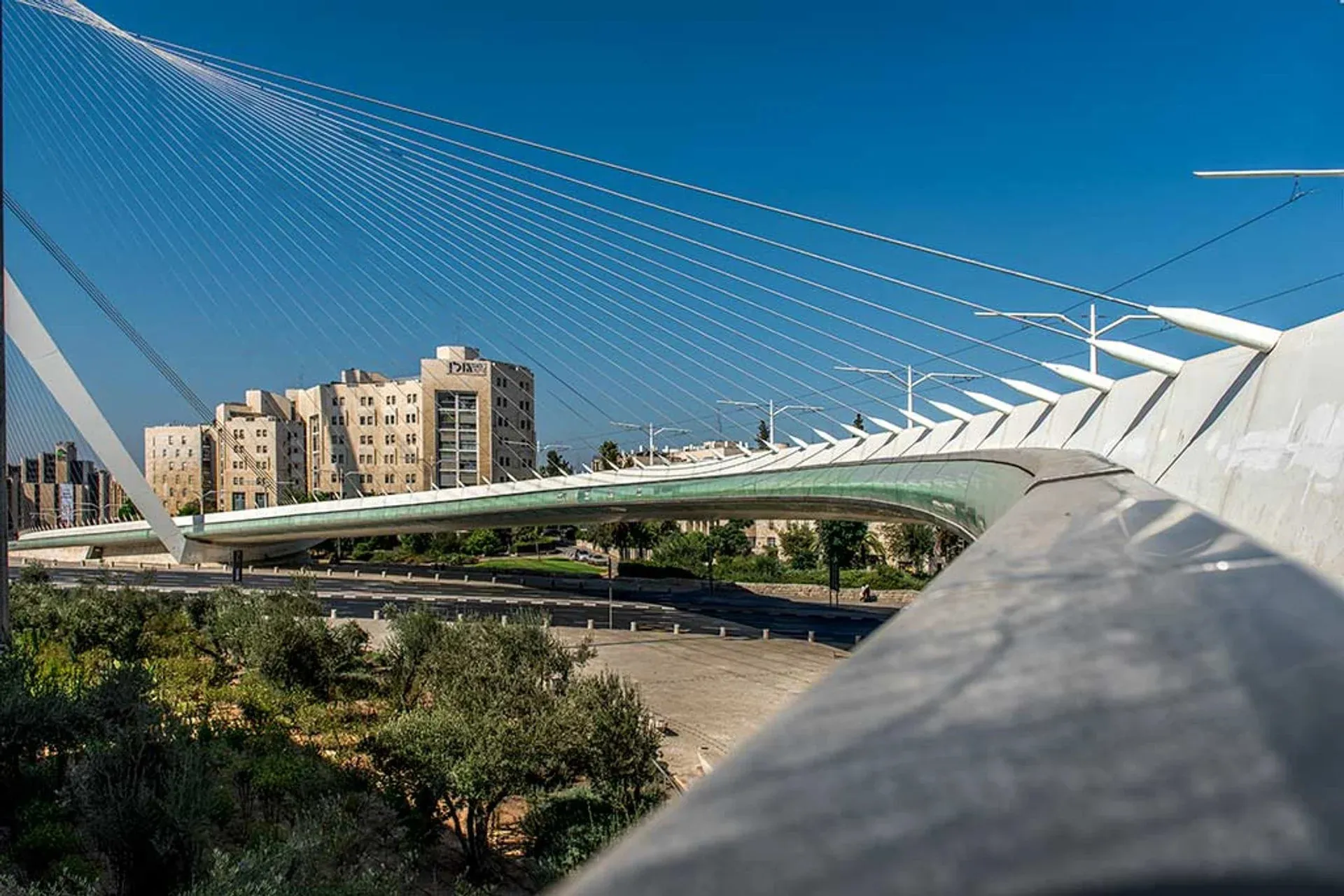 Chords Bridge in Israel, Middle East | Architecture - Rated 3.6