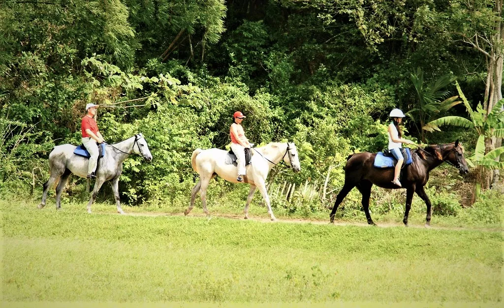 Chukka Caribbean Adventures in Jamaica, Caribbean | Horseback Riding - Rated 1.1