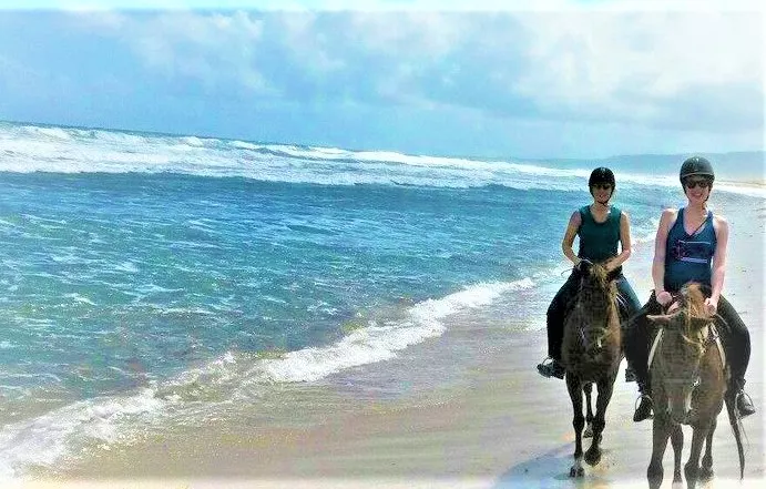 Cleland Equestrian in Barbados, Caribbean | Horseback Riding - Rated 0.9