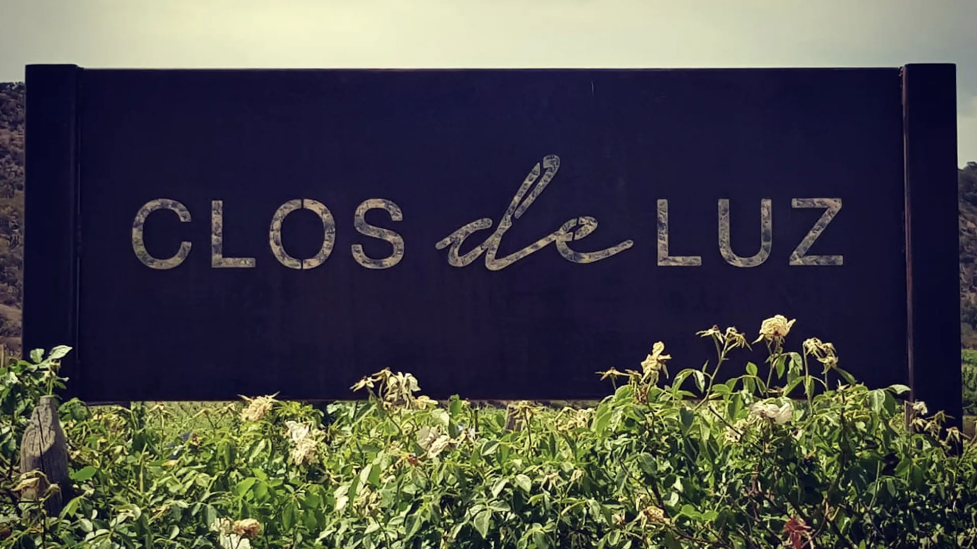 Clos De Luz in Chile, South America | Wineries - Rated 0.7