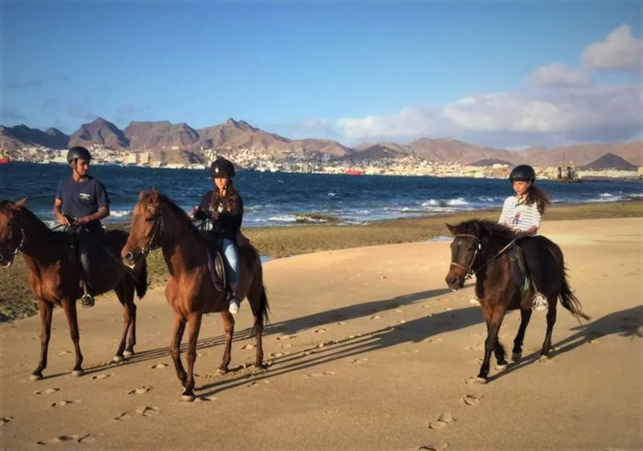 Clube Hípico do Mindelo in Cape Verde, Africa | Horseback Riding - Rated 0.7