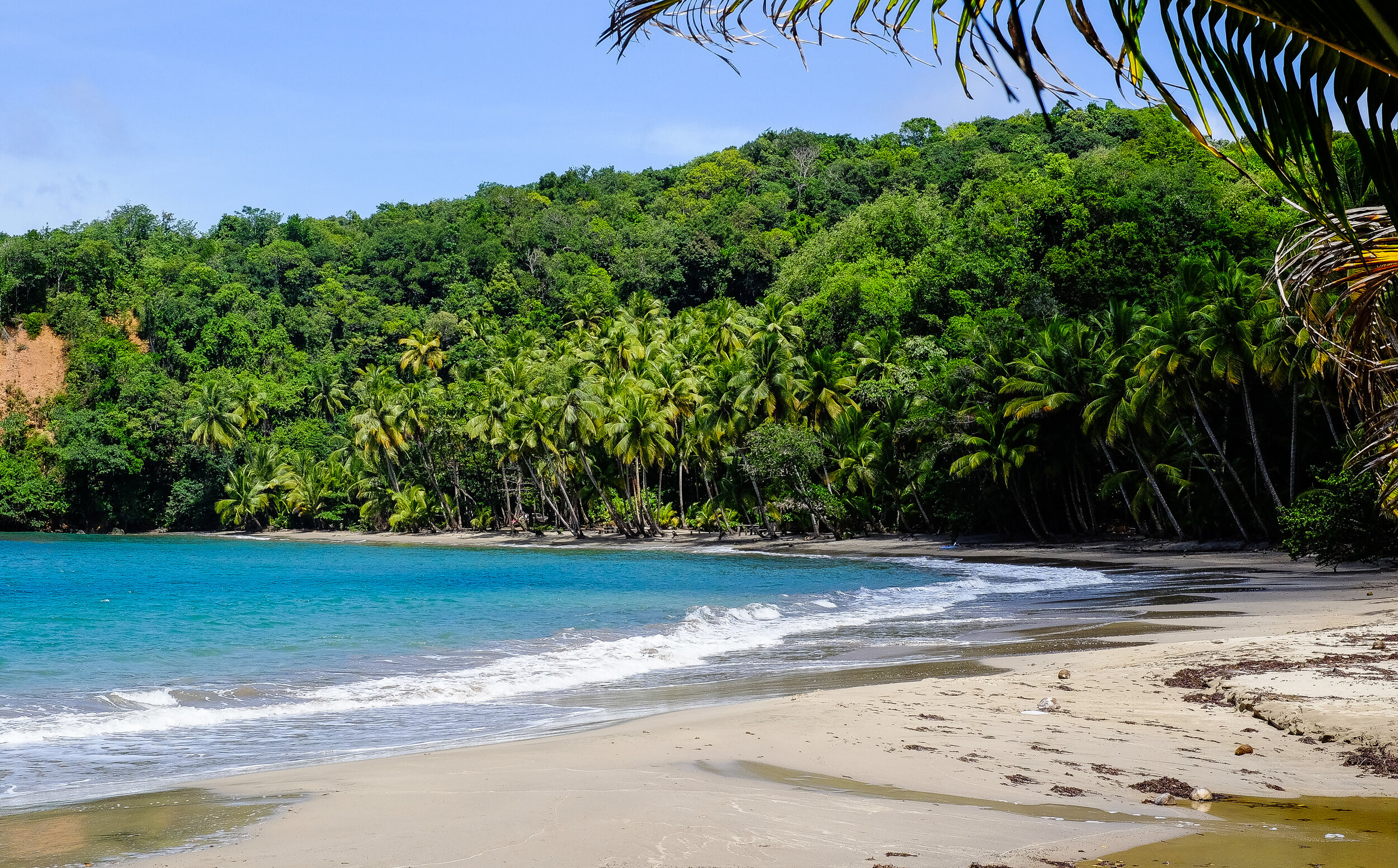 Coconut Beach in Dominica, Caribbean | Beaches - Rated 0.8