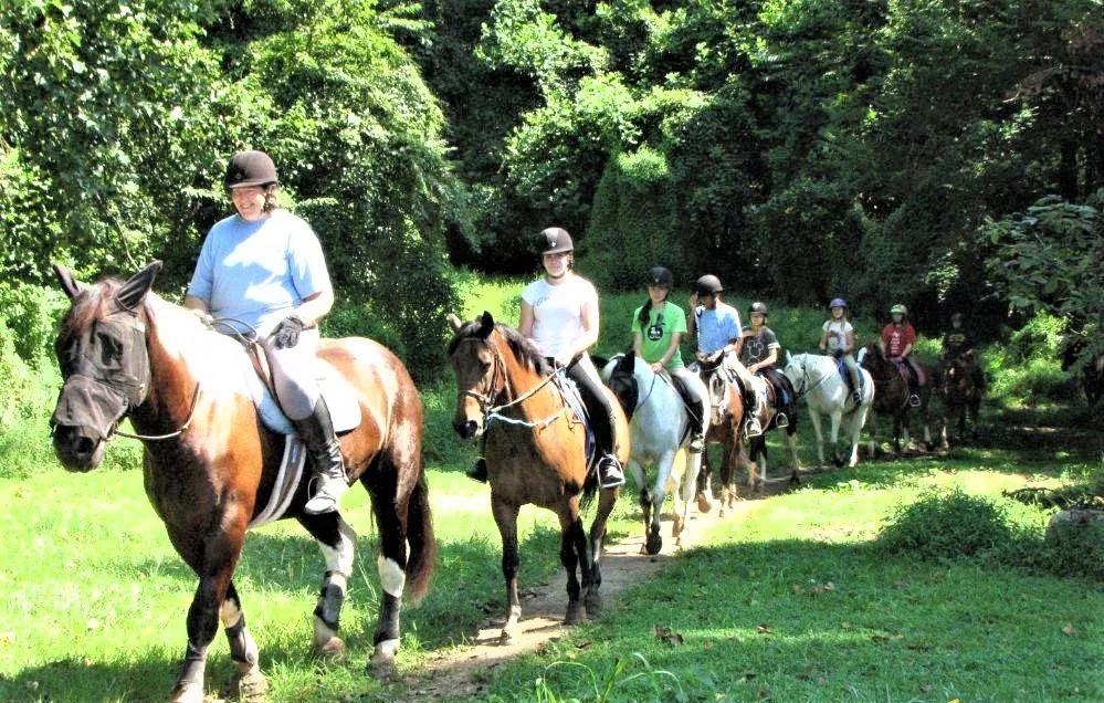 Hipica Santa Monica in Colombia, South America | Horseback Riding - Rated 0.9