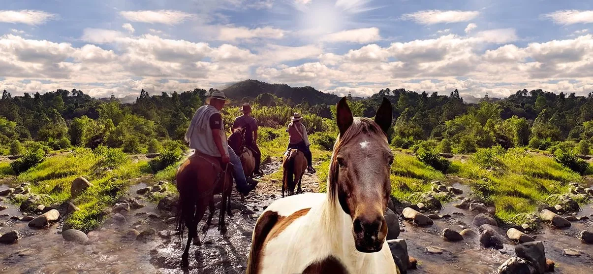 Cabalgatas caminos y trochas in Colombia, South America | Horseback Riding - Rated 1