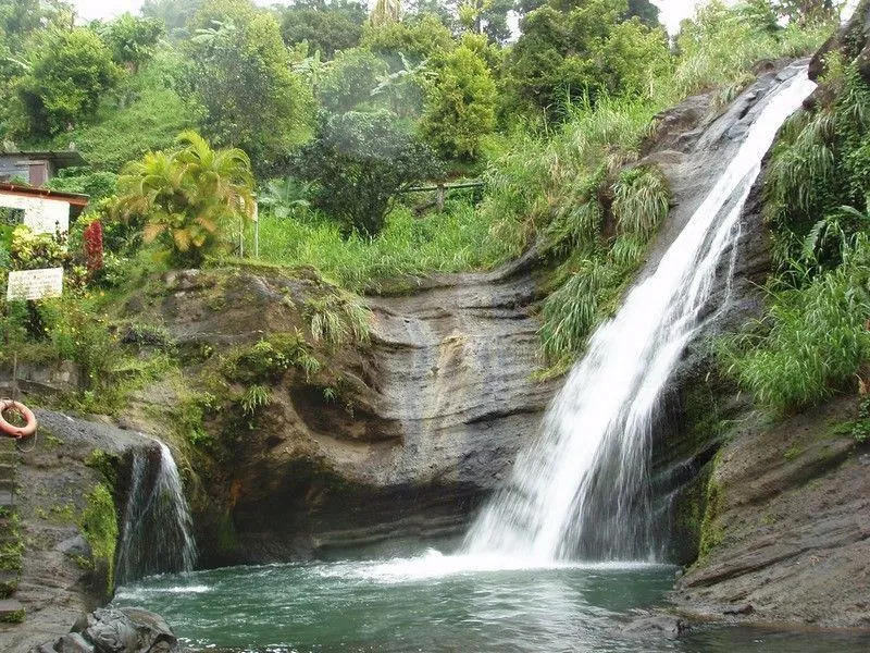 Concord Falls in Grenada, Caribbean | Waterfalls - Rated 3.7
