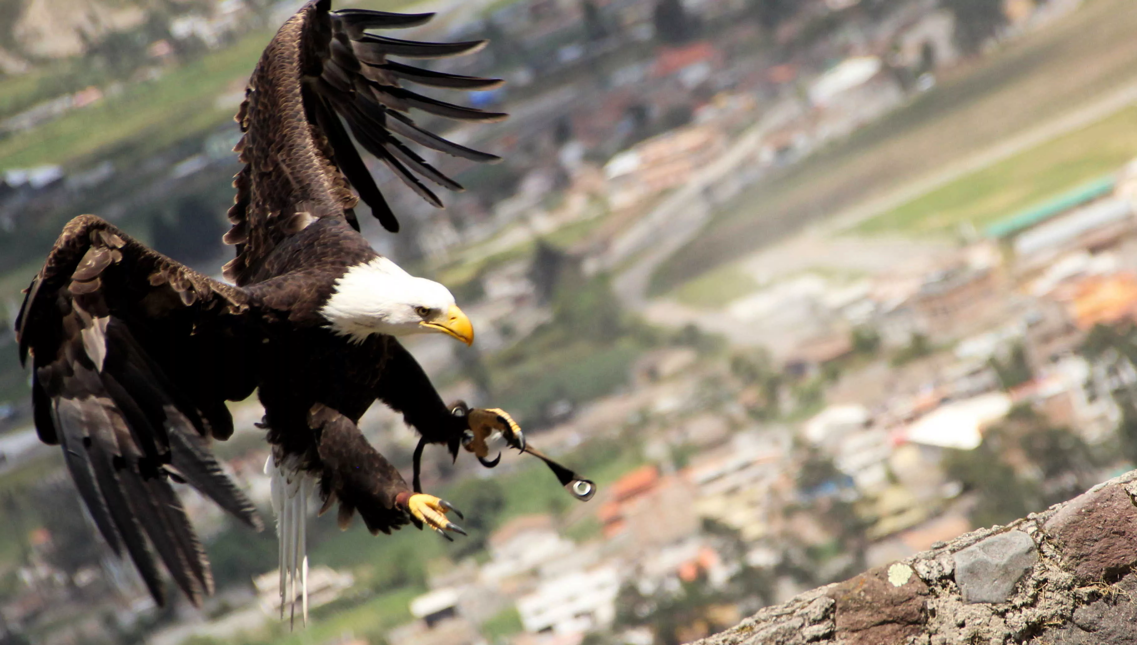 Condor Park in Ecuador, South America | Parks - Rated 3.8