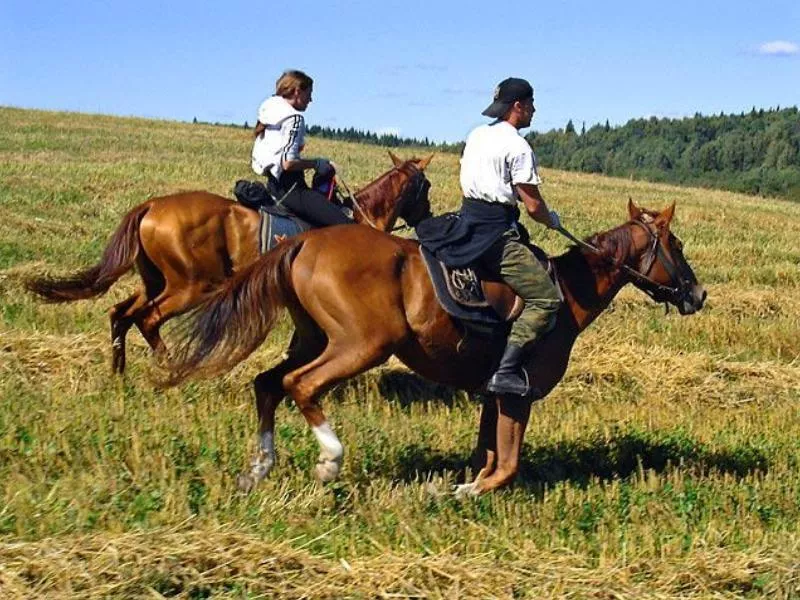 Conferma KH Manul in Belarus, Europe | Horseback Riding - Rated 1.2