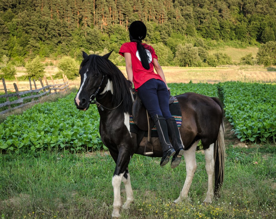 Coop Agricola biologica - Antica Torre in Italy, Europe | Horseback Riding - Rated 1