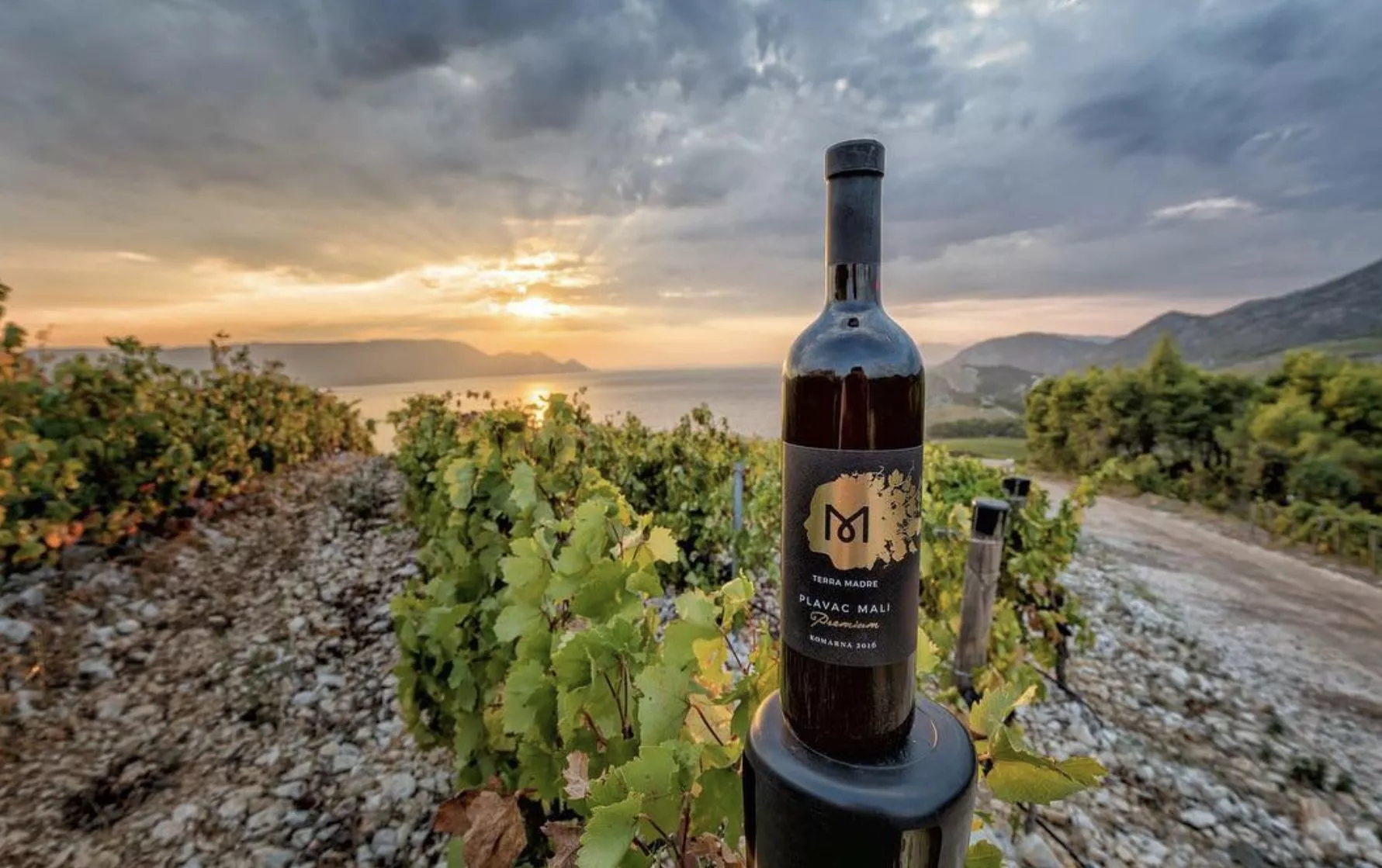 Coronica in Croatia, Europe | Wineries - Rated 0.9