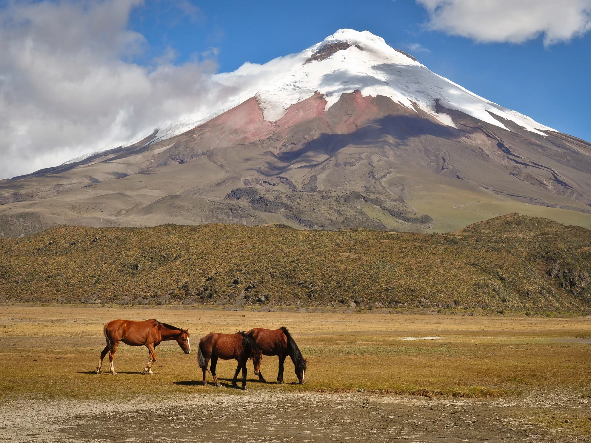 Cotopaxi National Park in Ecuador, South America | Parks,Trekking & Hiking - Rated 3.9