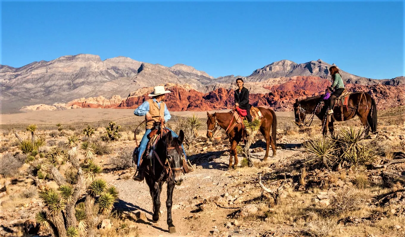 Cowboy Trail Rides in USA, North America | Horseback Riding - Rated 4.7