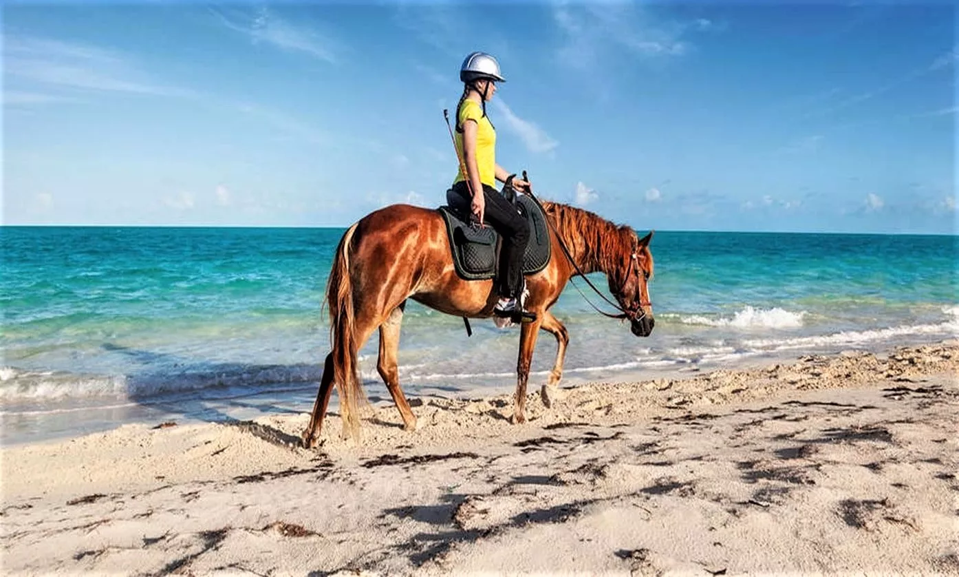 Creo Equestrian in Oman, Middle East | Horseback Riding - Rated 0.9