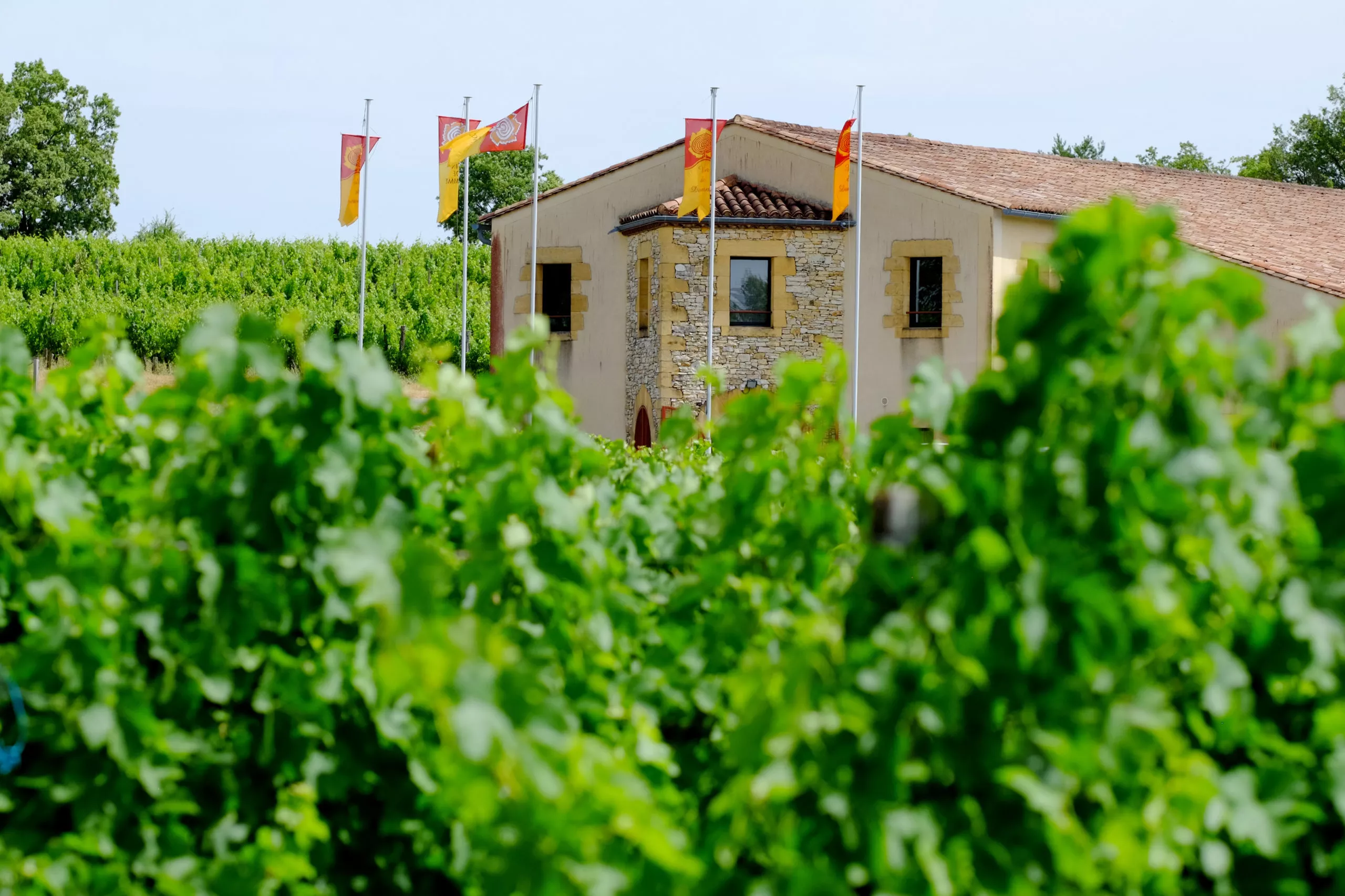 Domme Wine in France, Europe | Wineries - Rated 0.9