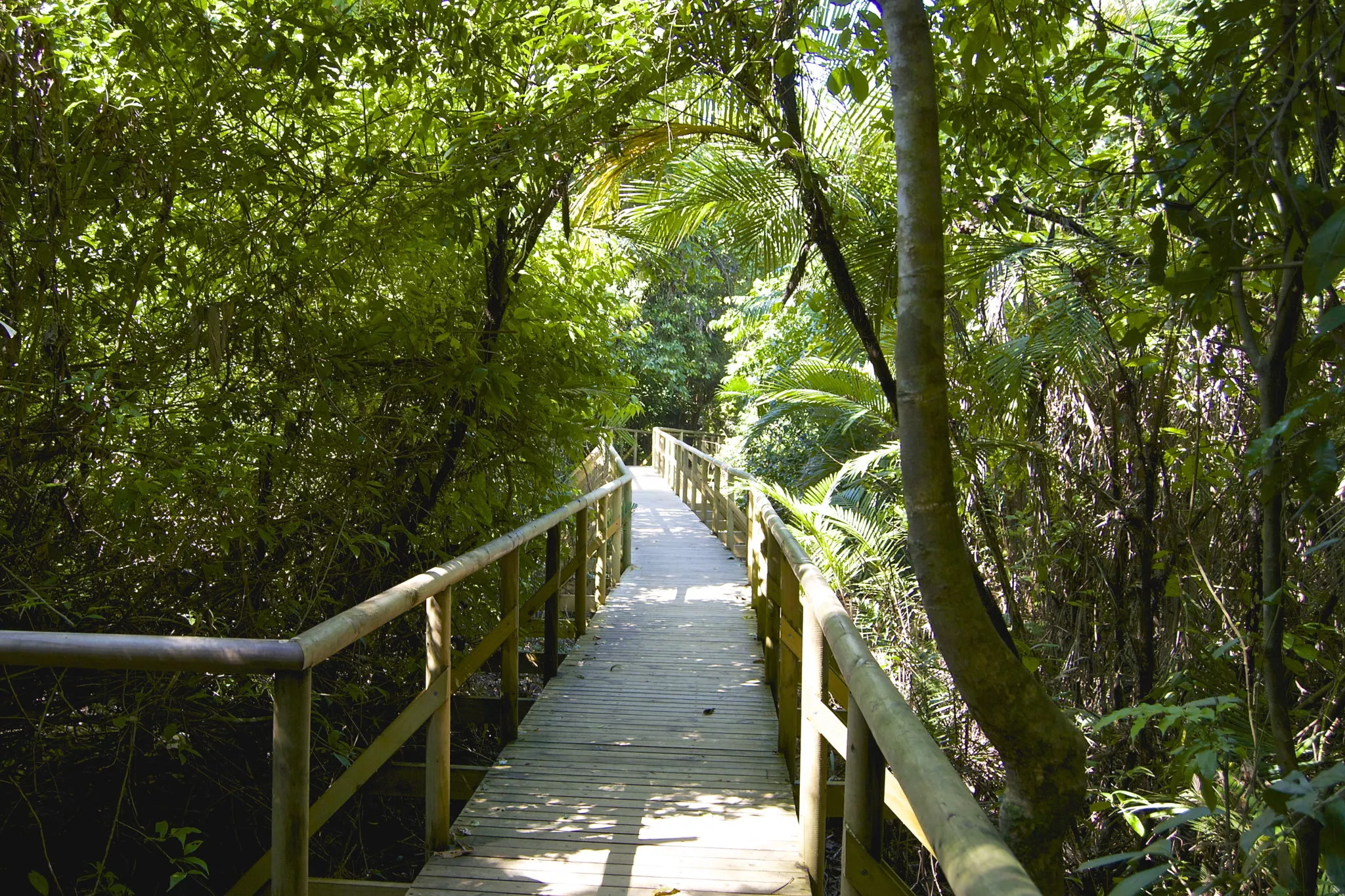 Manuel Antonio National Park Hike in Costa Rica, North America | Trekking & Hiking - Rated 3.7