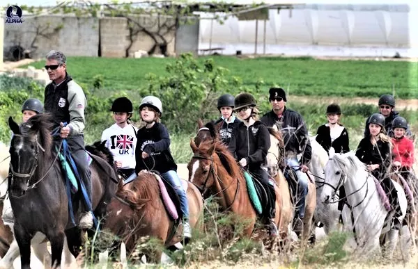 Daniel's Equestrian Training in Malta, Europe | Horseback Riding - Rated 1