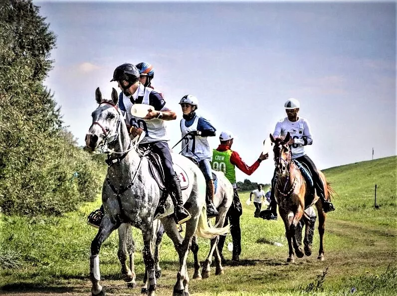 Darkona in Slovakia, Europe | Horseback Riding - Rated 0.9