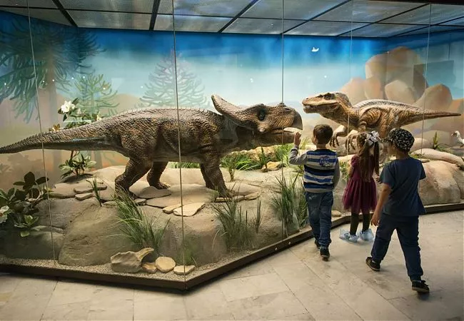 Darwin Museum in Russia, Europe | Museums - Rated 4.1