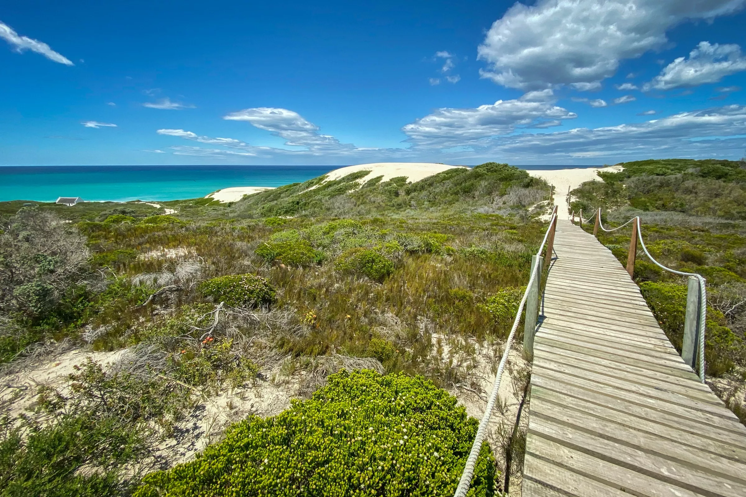 De Hoop Whale Trail in South Africa, Africa | Trekking & Hiking - Rated 3.6