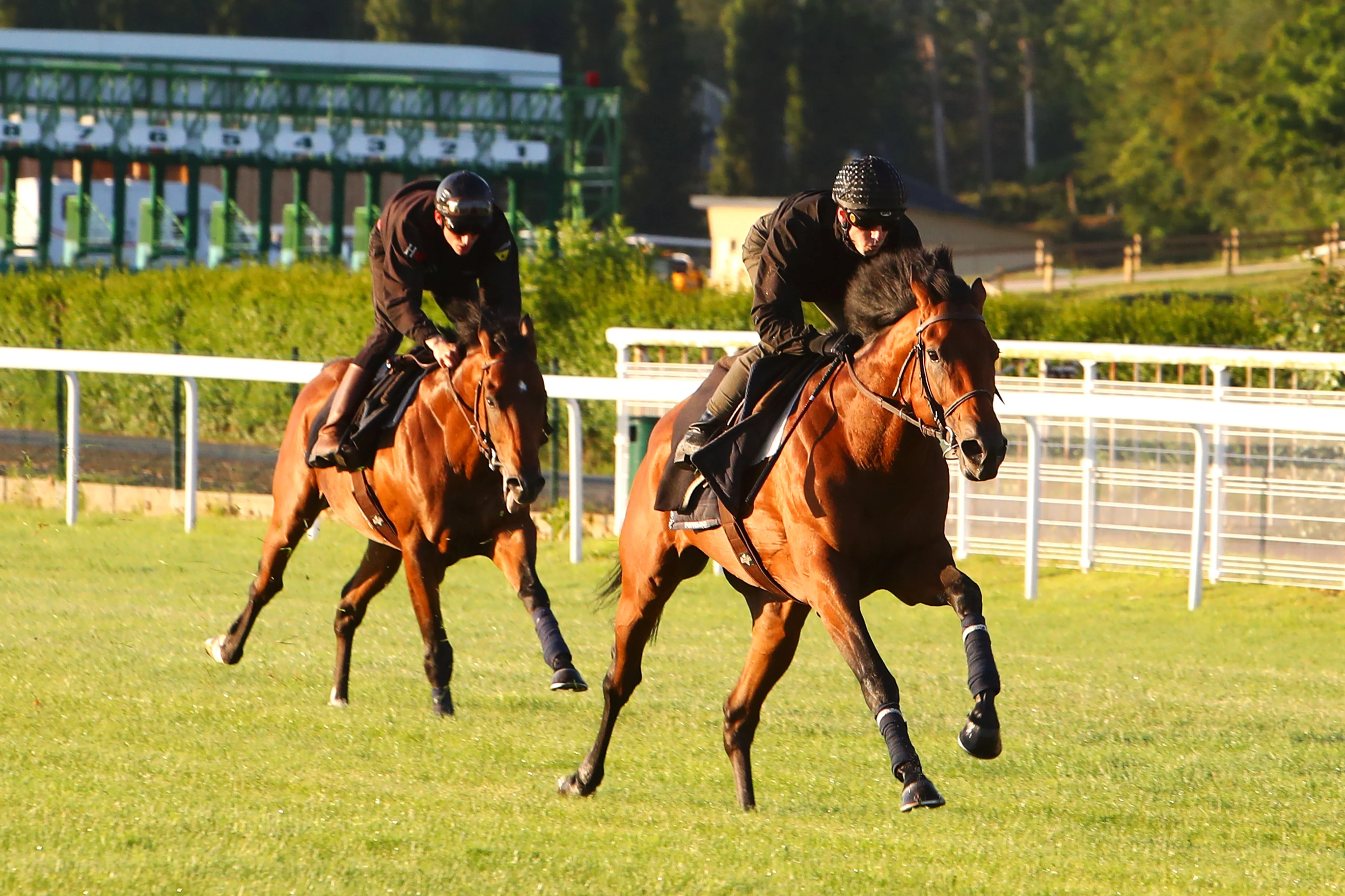 Deauville-La Touques Racecourse in France, Europe | Racing,Horseback Riding - Rated 6.6
