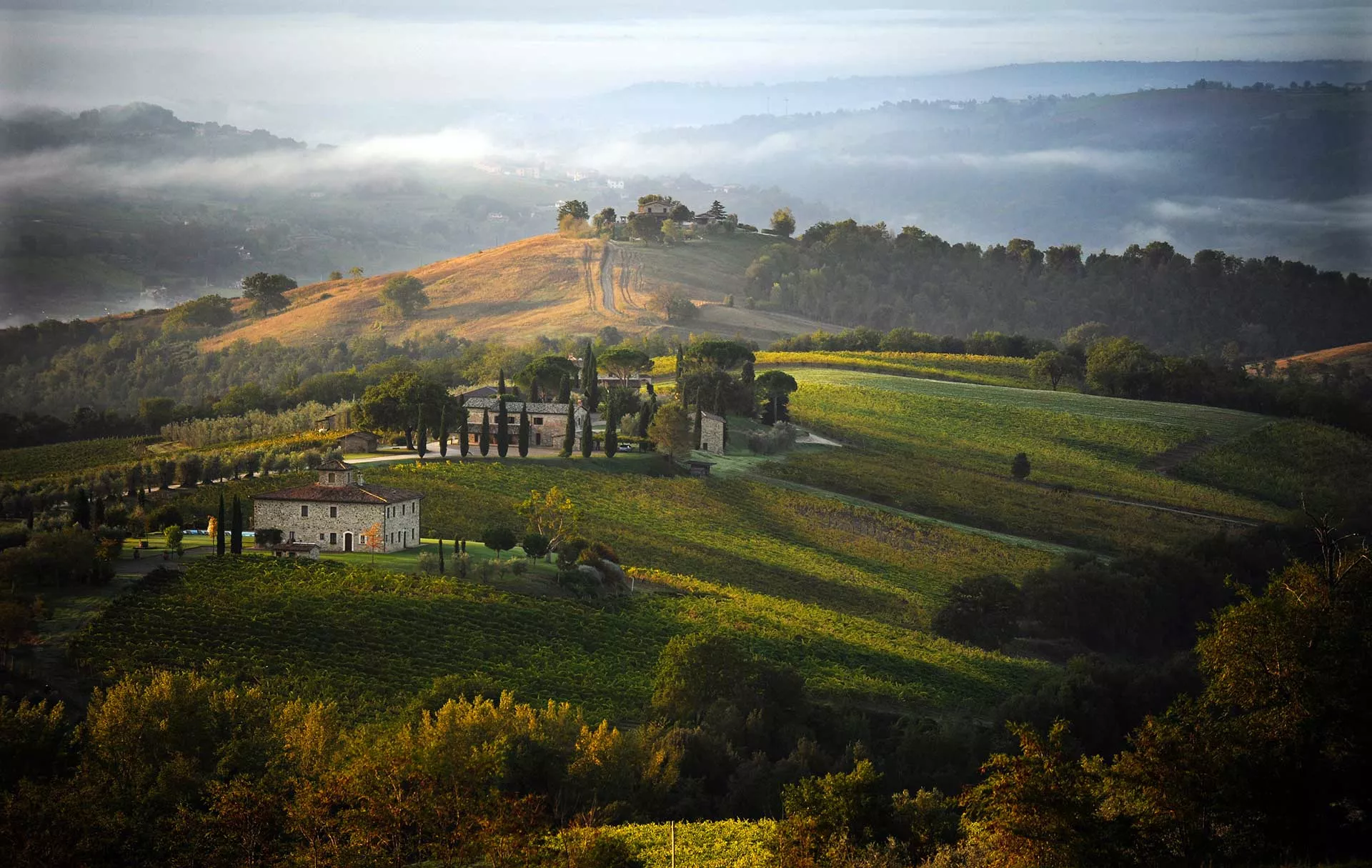 Decugnano dei Barbi in Italy, Europe | Wineries - Rated 0.9
