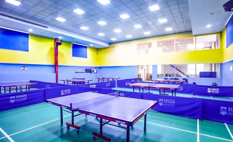 Dennis Badminton in Indonesia, Central Asia | Ping-Pong - Rated 0.8