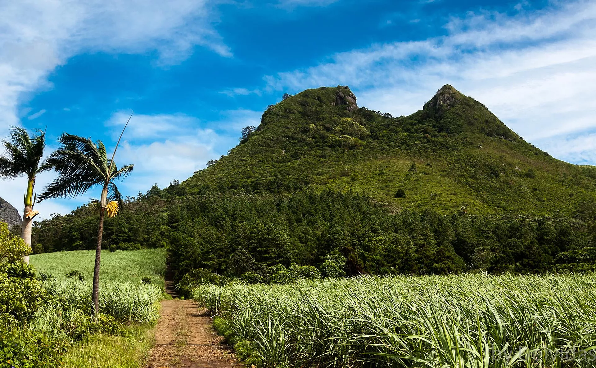 Deux Mamelles Mountain in Mauritius, Africa | Mountains,Trekking & Hiking - Rated 0.9